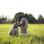 Best CBD treats for dogs