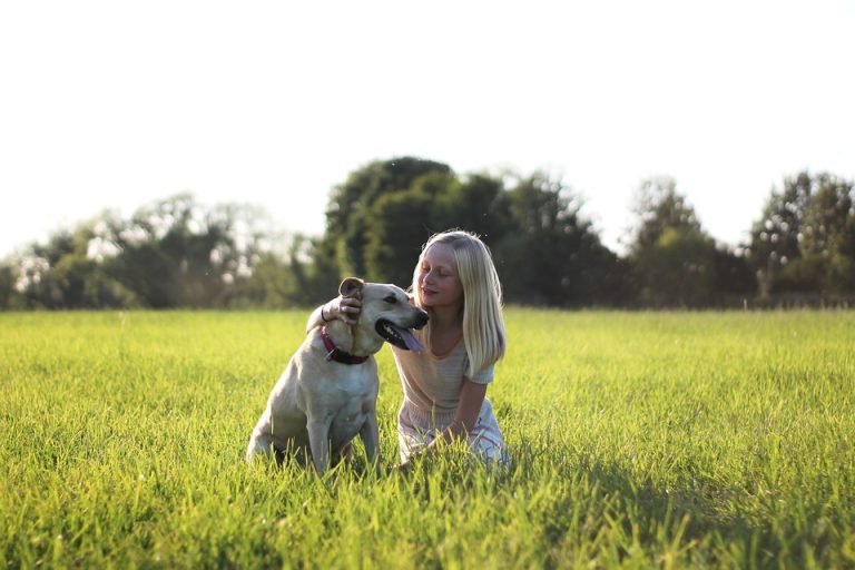 Best CBD treats for dogs