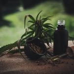 cbd-ol-4470099_640